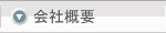 ЊTv